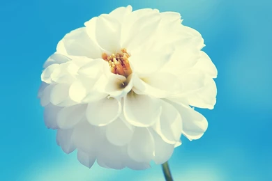 Ipad 3 Wallpapers Hd Wallpapers