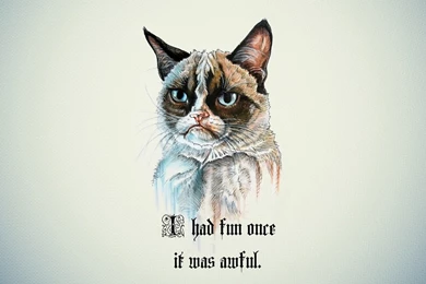 Grumpy cat wallpaper funny wallpapers pictures