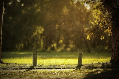 Nature Wide Desktop Backgrounds Desktop Backgrounds