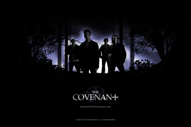 Steven Strait Steven Strait In The Covenant Wallpapers 1 800x600