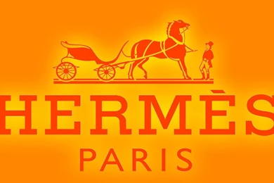Hermes logo.jpg