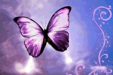 Cute Butterfly Images Desktop Backgrounds