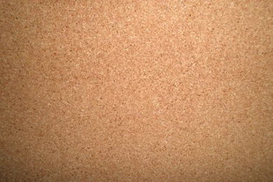 Corkboard Texture1 By Powerpuffjazz On DeviantArt