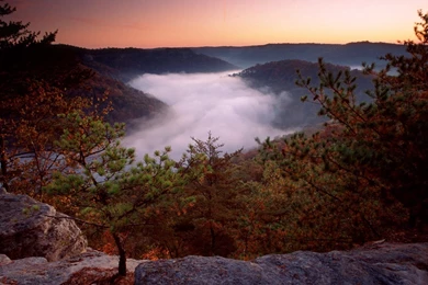 Wallpapers Forest, River, Mountains, Fog, Kentucky, Morning, Red ...