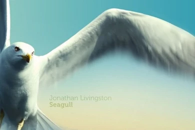640x960 Jonathan Livingston Seagull Iphone 4 Wallpapers