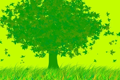 Random Wallpapers Random Wallpapers (5549787) Fanpop