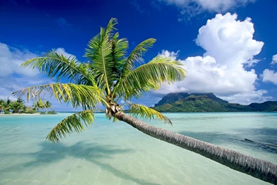 Nature Bora Bora Desktop Wallpapers And Backgrounds O.k. U X