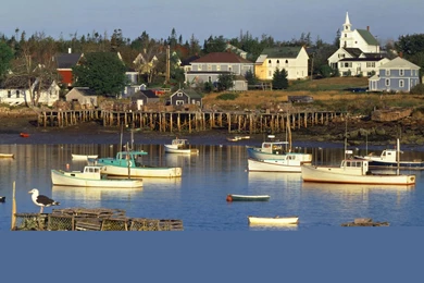 Corea Harbor at Sunrise Maine.jpg