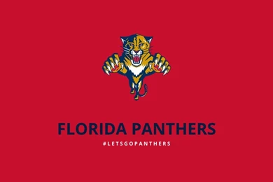 Minimalist Florida Panthers Wallpapers By Lfiore On DeviantArt