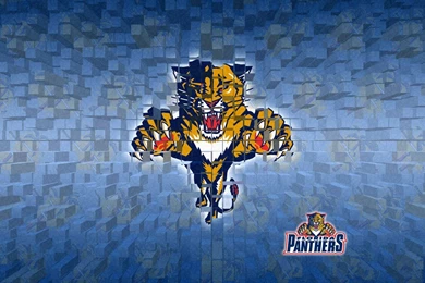 Florida Panthers By AladineSalame On DeviantArt