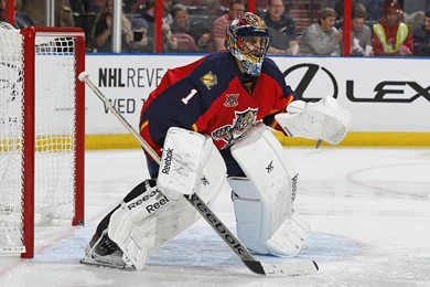 FLORIDA PANTHERS Nhl Hockey (48) Wallpapers