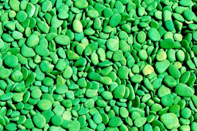 Green Android Wallpapers HD