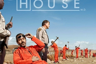 House M.D. Wallpapers