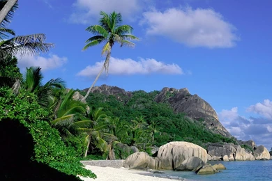 HD Desktop Wallpapers. Wallpapers Free Download. Desktop Wallpapers ...