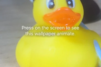 Live Photos wallpaper iOS 9 EnableLivePhotos 576x1024.jpg