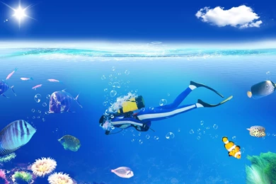 Scuba Diving 1920 X 1080 Wallpapers