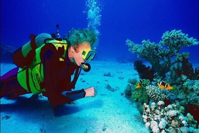 Scuba Diver « Free Wallpapers 1024x768 Download Desktop Pictures HD