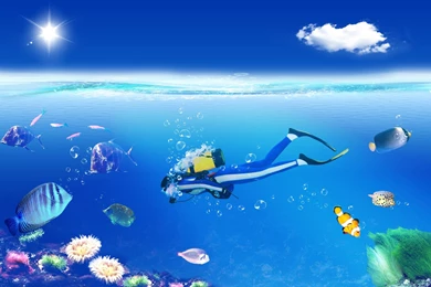Scuba Diving, Blue, Ocean, 1920x1200 HD Wallpapers And FREE Stock Photo