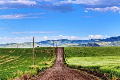 Wavy Road Among The Fields Wallpapers