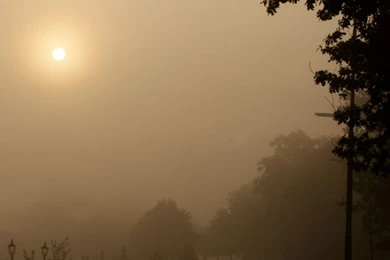 Misty Sunday Morning HD Desktop Wallpapers : Widescreen : High ...