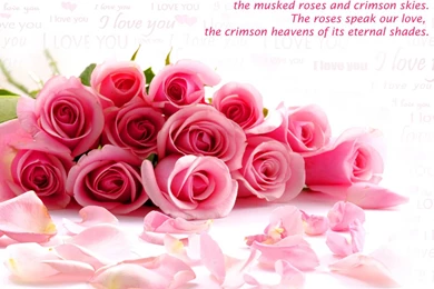 Desktop Backgrounds Love Quotes