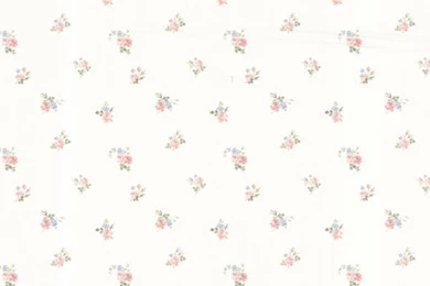 487 68813 Blush Small Rose Toss Debbie Brewster Wallpapers