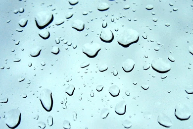 Development: Nature Water Drops, Picture Nr. 13419