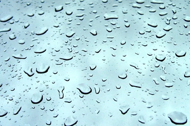 Development: Nature Water Drops, Picture Nr. 13420