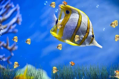 Hd fine wallpapers for windows 7 free download.jpeg