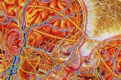 640x960 Psychedelic Couple Iphone 4 Wallpapers