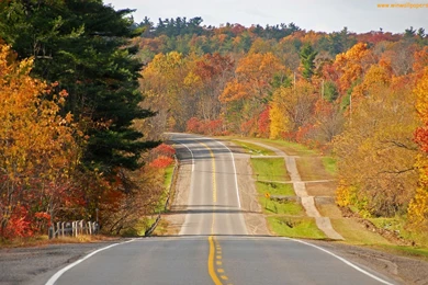 HD The Most Beautiful Road In The World Wallpapers New Post Has ...