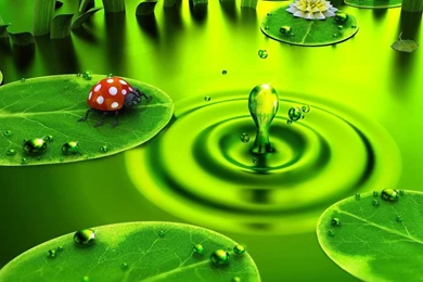 3D Wallpapers For PC