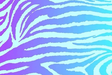 Zebra's On Pinterest