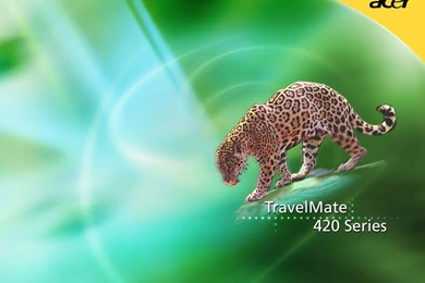 Acer Travelmate 420 Series Leopard Wallpapers D