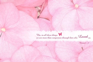 Romans 8:37 More Than Conquerors Wallpapers Christian ...
