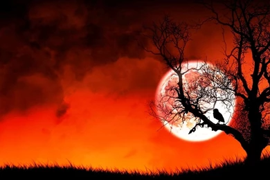 Animated Wallpapers 15 Best Wallpapers Collection