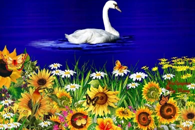 Spring Flowers Pictures Free Wallpapers High Definition