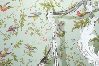 Hummingbirds 62/1004 Collection Of Flowers Cole & Son
