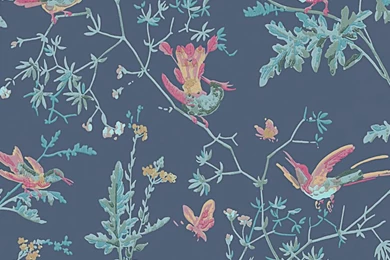 Hummingbirds Finest Wallpapers