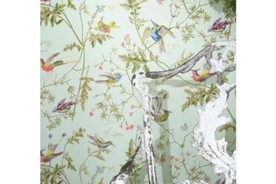 Buy Cole And Son Hummingbirds Free Next Day Delivery