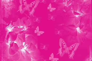 Pink Wallpapers HD Desktop Backgrounds Free Images