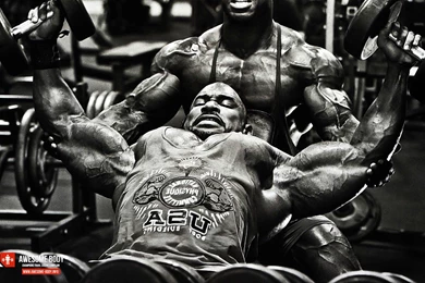 Bodybuilder Wallpapers Wallpapers Cave