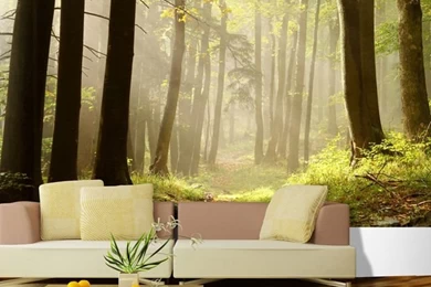 Custom Made Sunshine Forest Photo 3d Wallpapers 3d Wall Murals For ...