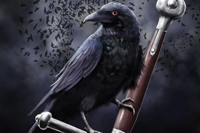 Raven Birds Art Wallpapers
