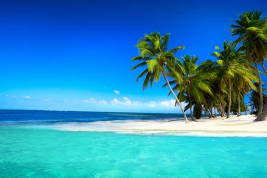 Hd Desktop Images, Large Wallpapers, Windows Backgrounds, Green ...