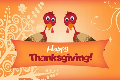 Two Turkeys Wishing You Happy Thanksgiving Wallpapers Holiday ...