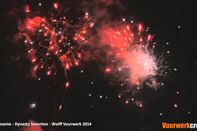 Threesome Dynasty Selection Wolff Vuurwerk 2014 Vuurwerkcrew ...