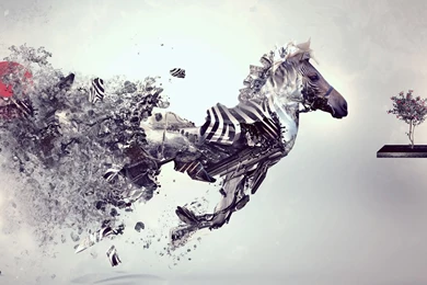 Mahmoud Nasr Home Mahmoud Nasr