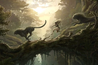 Download Forest Girl Wallpapers For Samsung Epic