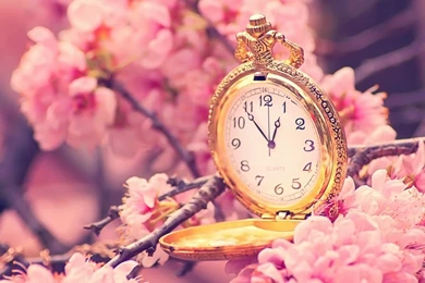 Top Wonderful Spring Wallpaper Backgrounds 2016 2017